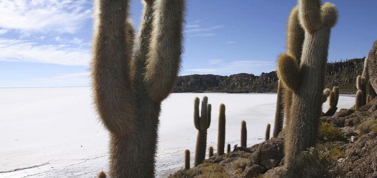 romer_bolivia_21.jpg
